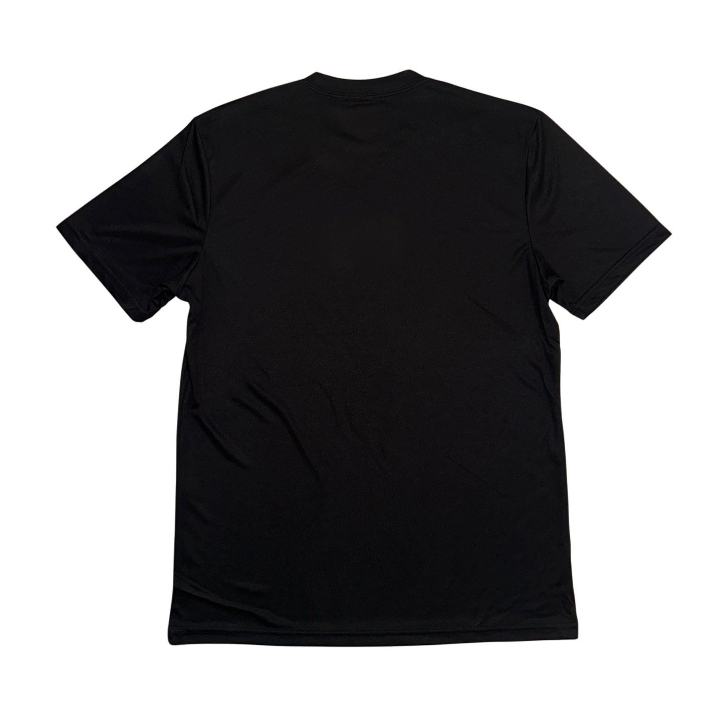 Back view of plain black dry fit t shirt