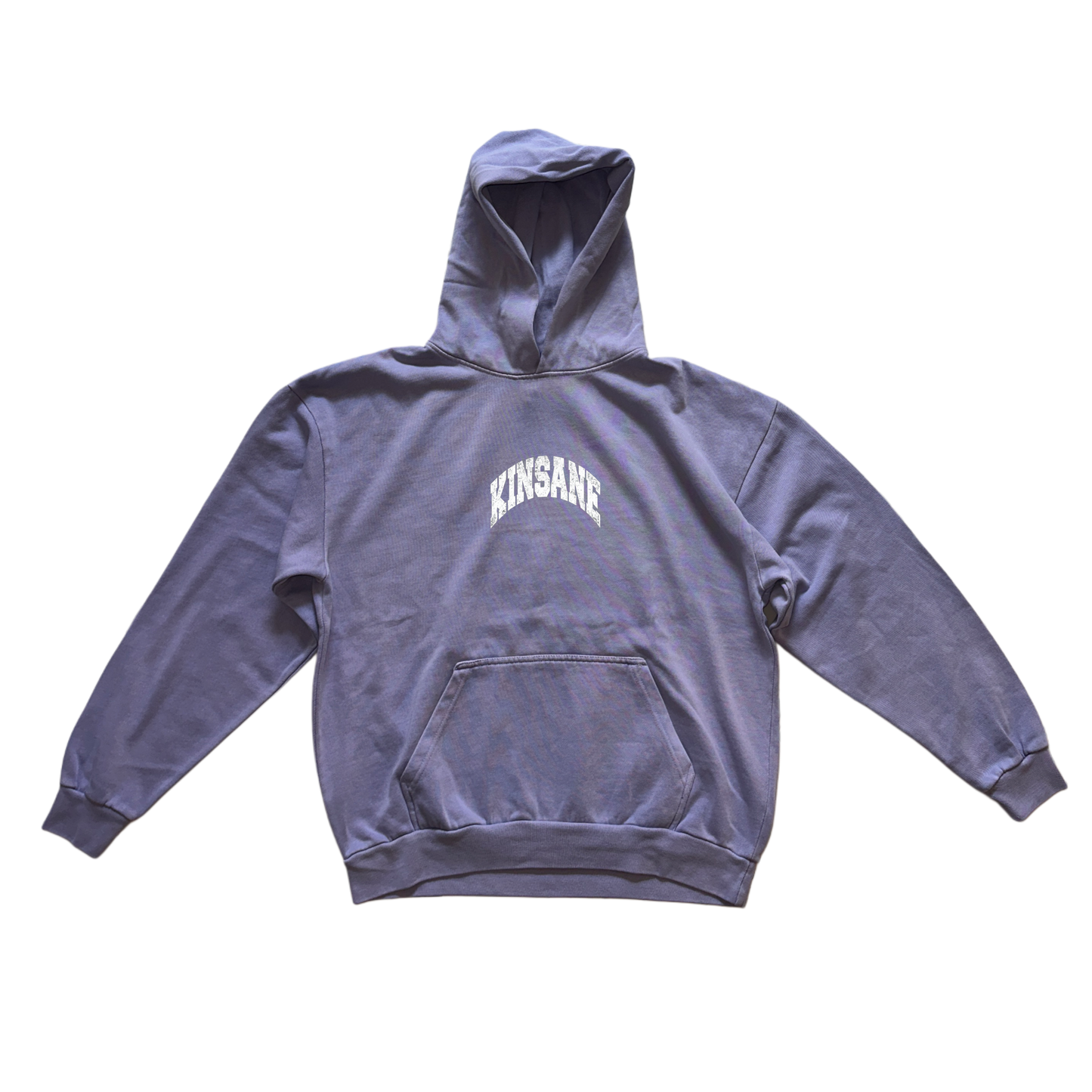 Light blue hoodie with white text reading “KINSANE”