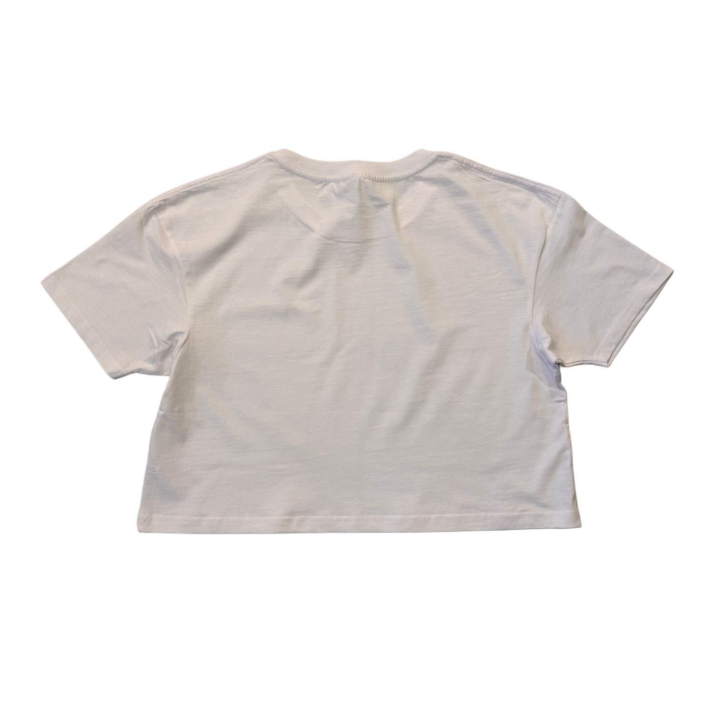 Back view of a white plain crop top T-shirt