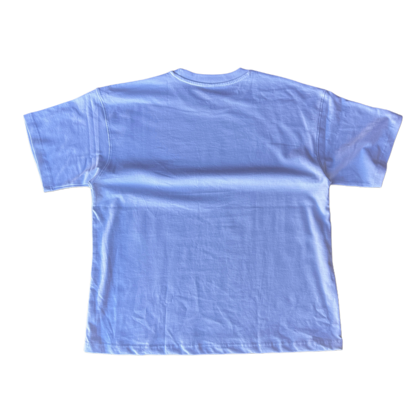 SPIKEDSANE Boxy Style Heavy T-Shirt