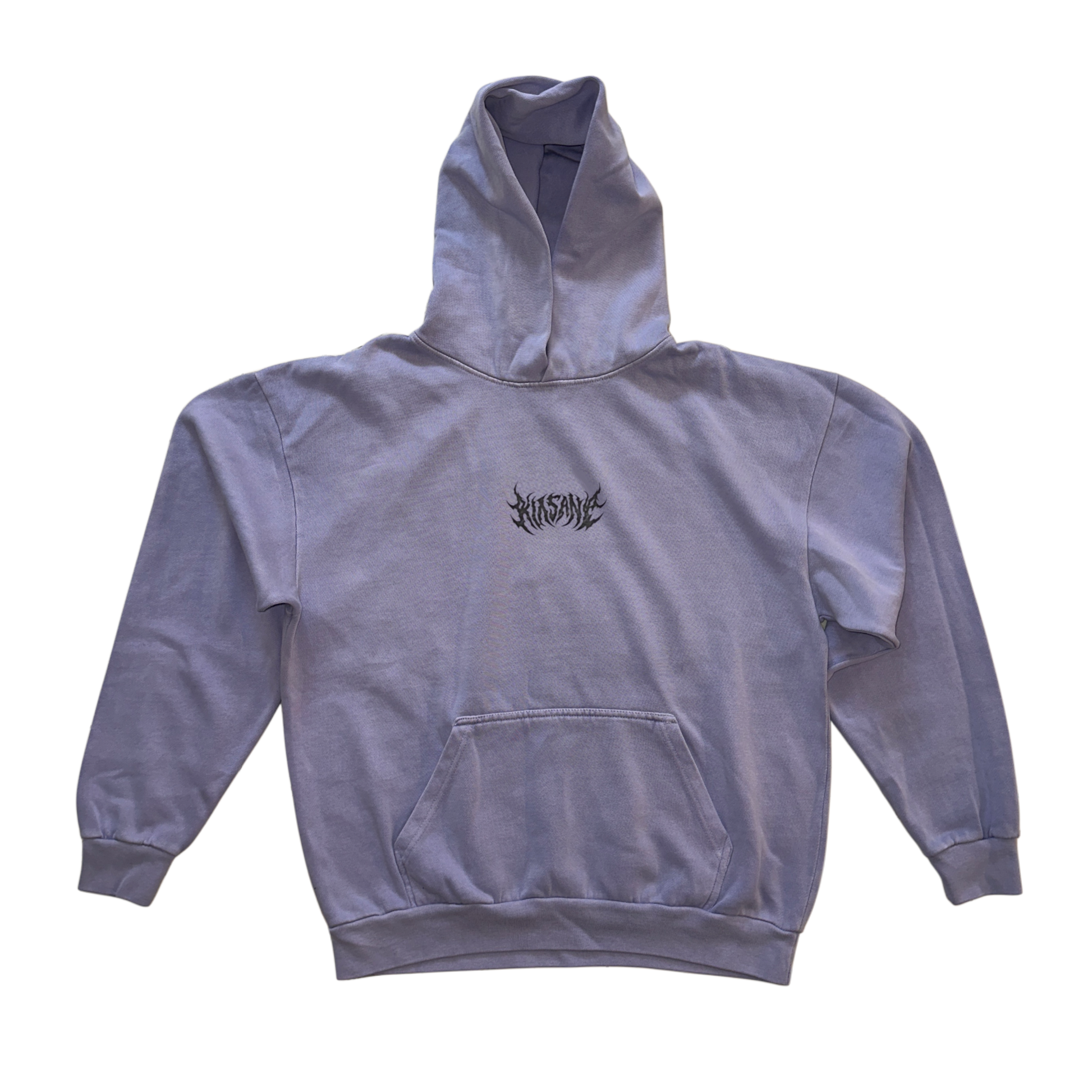 Light blue hoodie with black text in the center reading “KINSANE” 