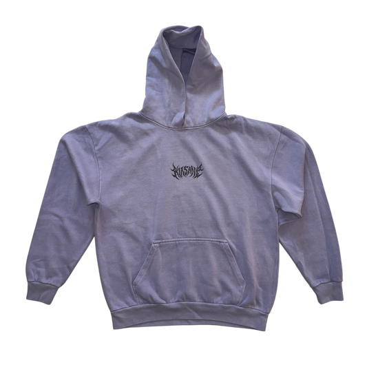 Light blue hoodie with black text in the center reading “KINSANE” 