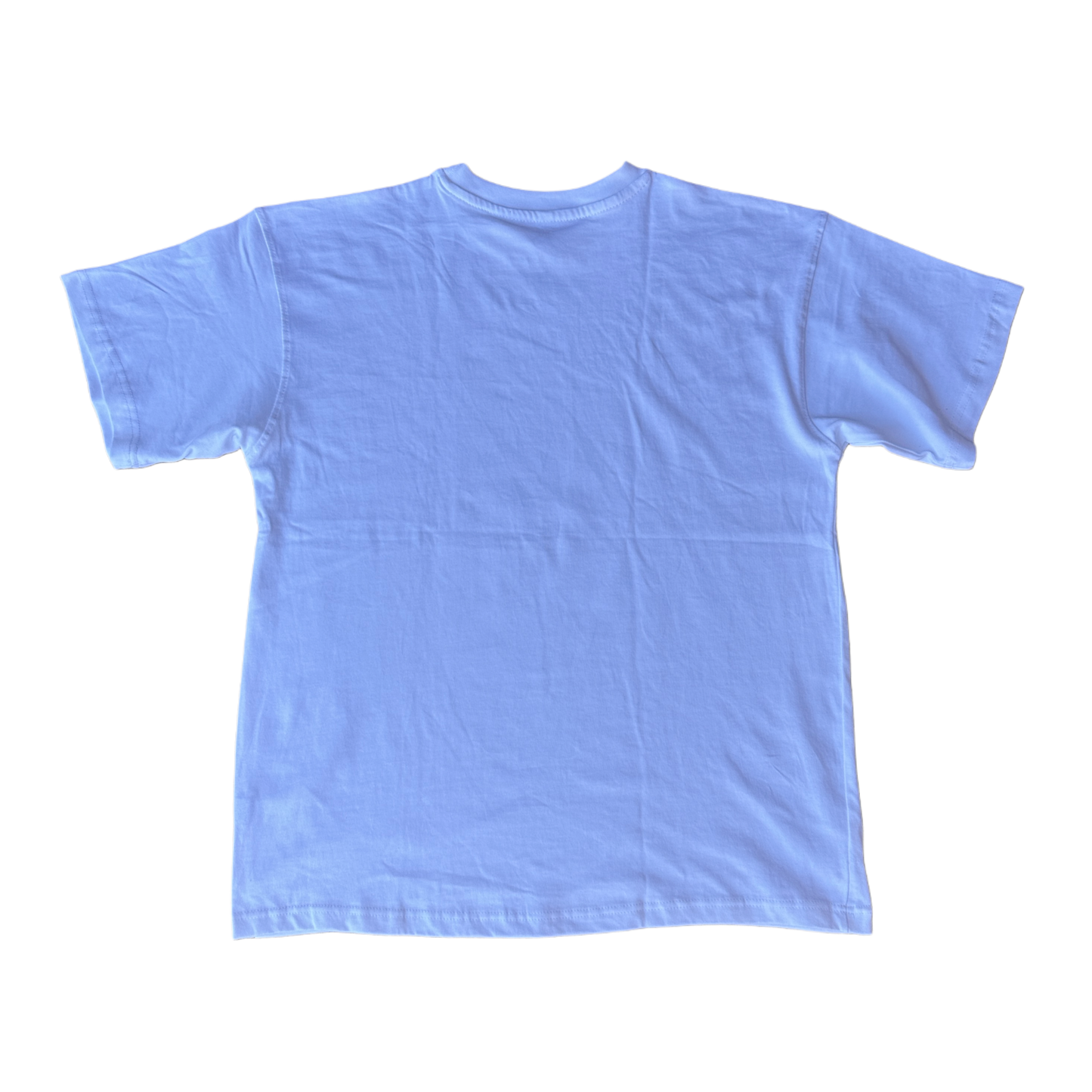 PINKSANE Boxy Style Heavy T-Shirt