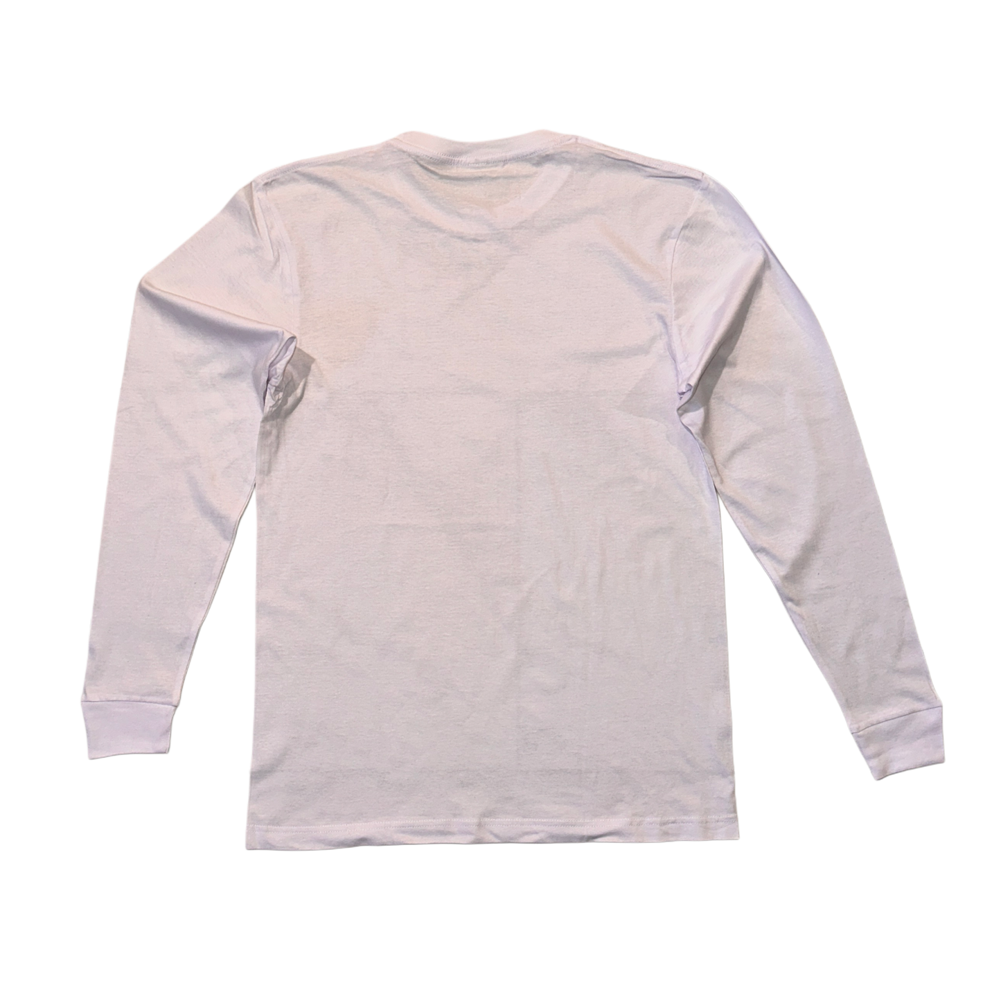 Back view of a plain white long sleeve T-shirt