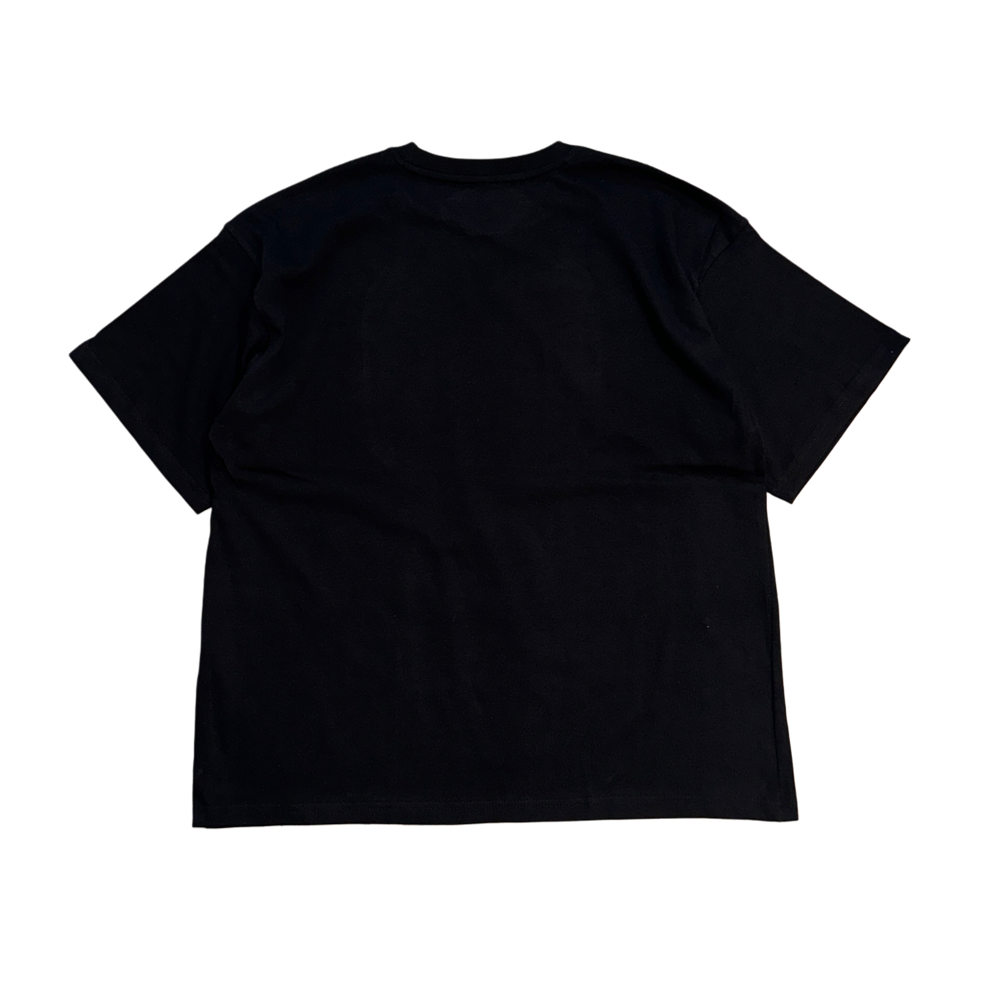 Back view of a plain black t shirt 