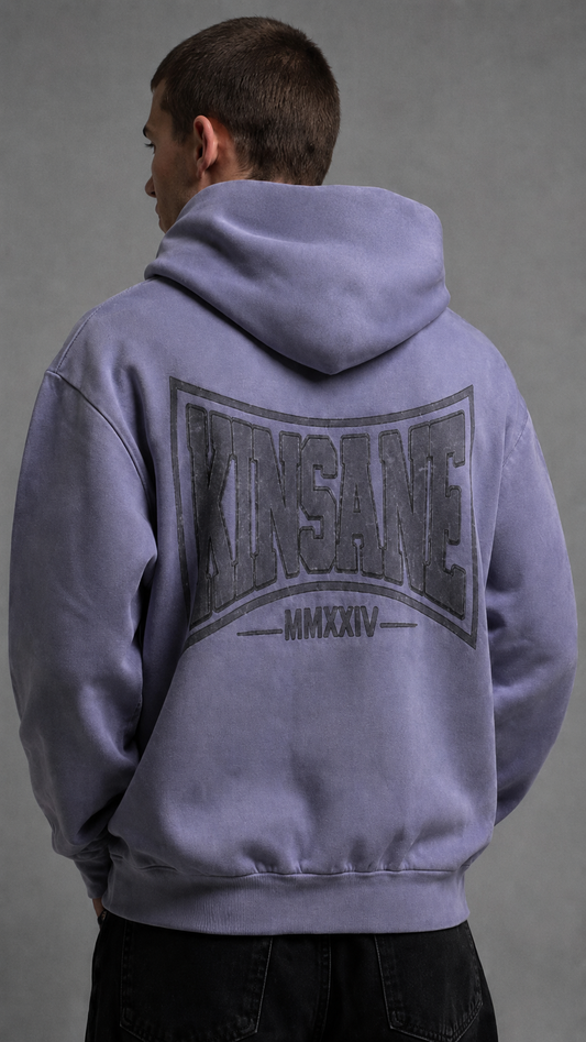 Back view of a man wearing a light blue hoodie with a gray logo and text reading “KINSANE MMXXIV” 