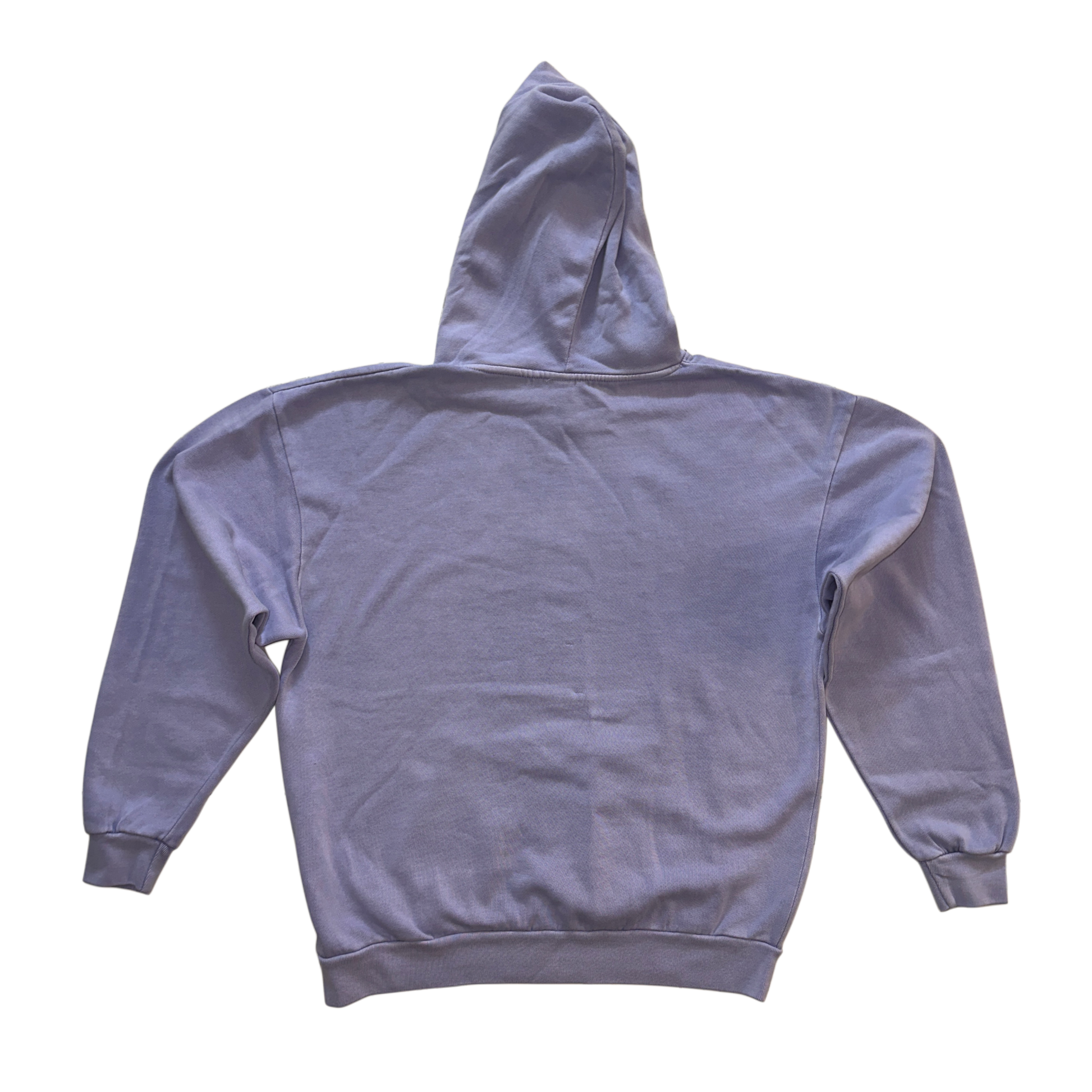 Back view of a plain light blue hoodie 