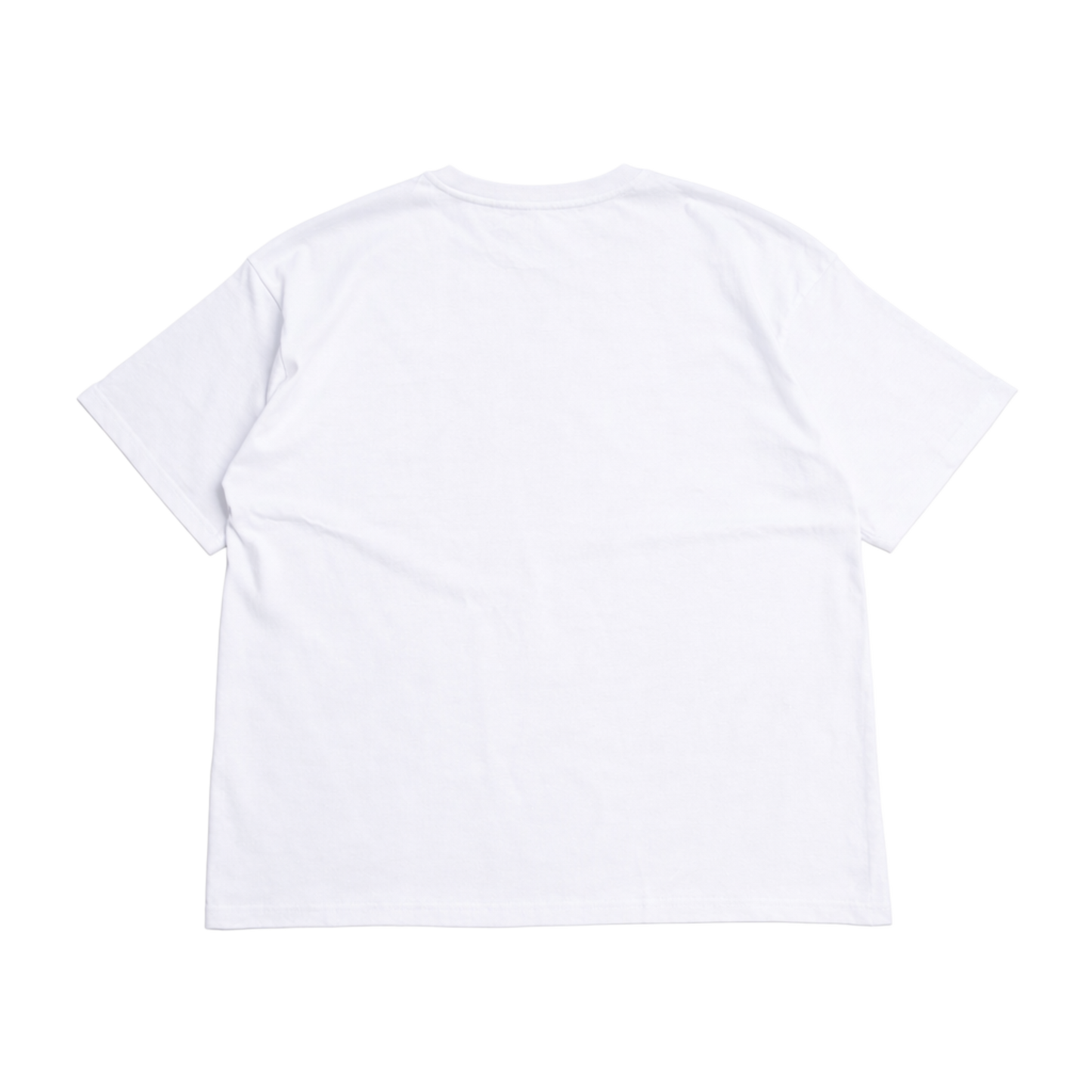Back view of a plain white t-shirt 