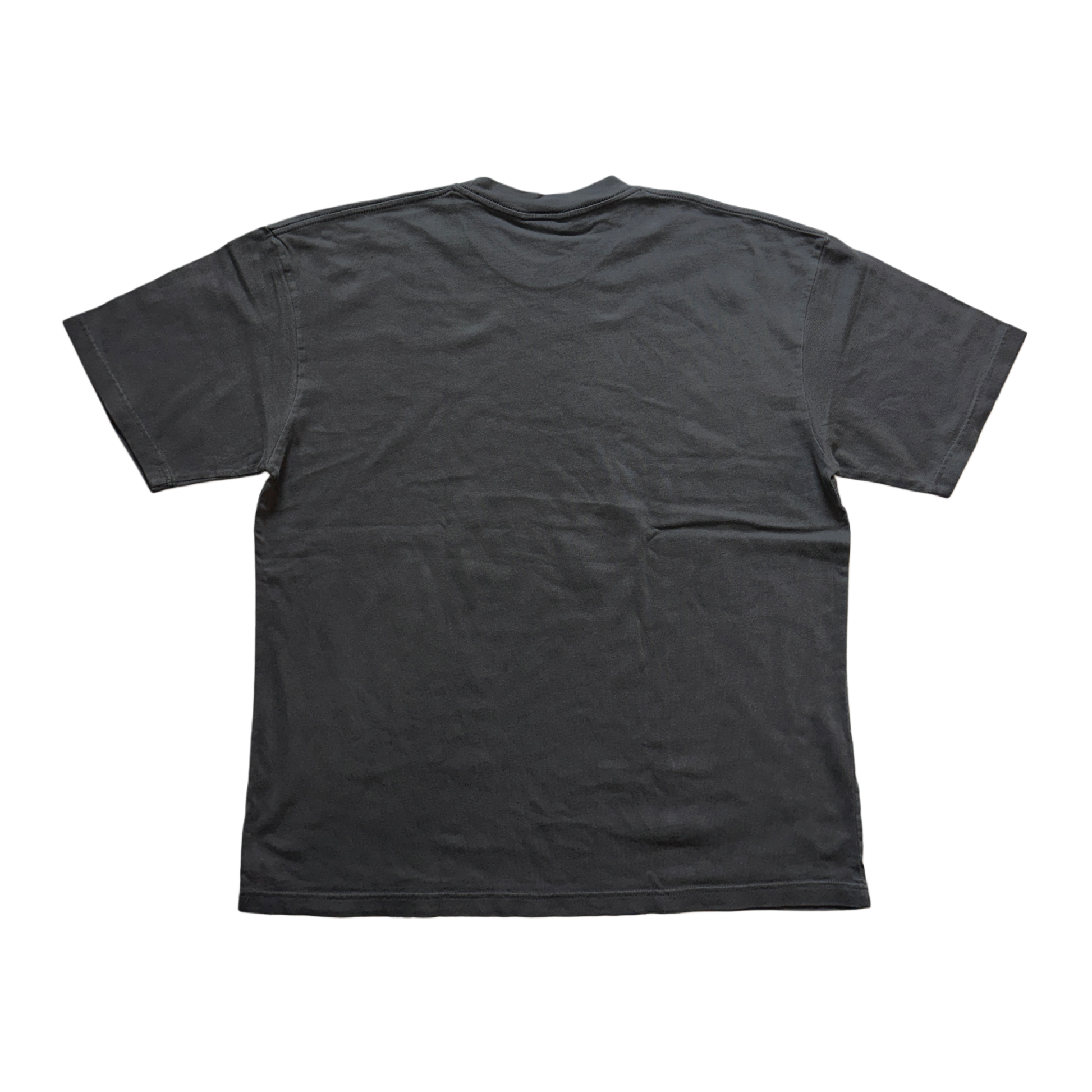 Back view of plain gray t shirt 
