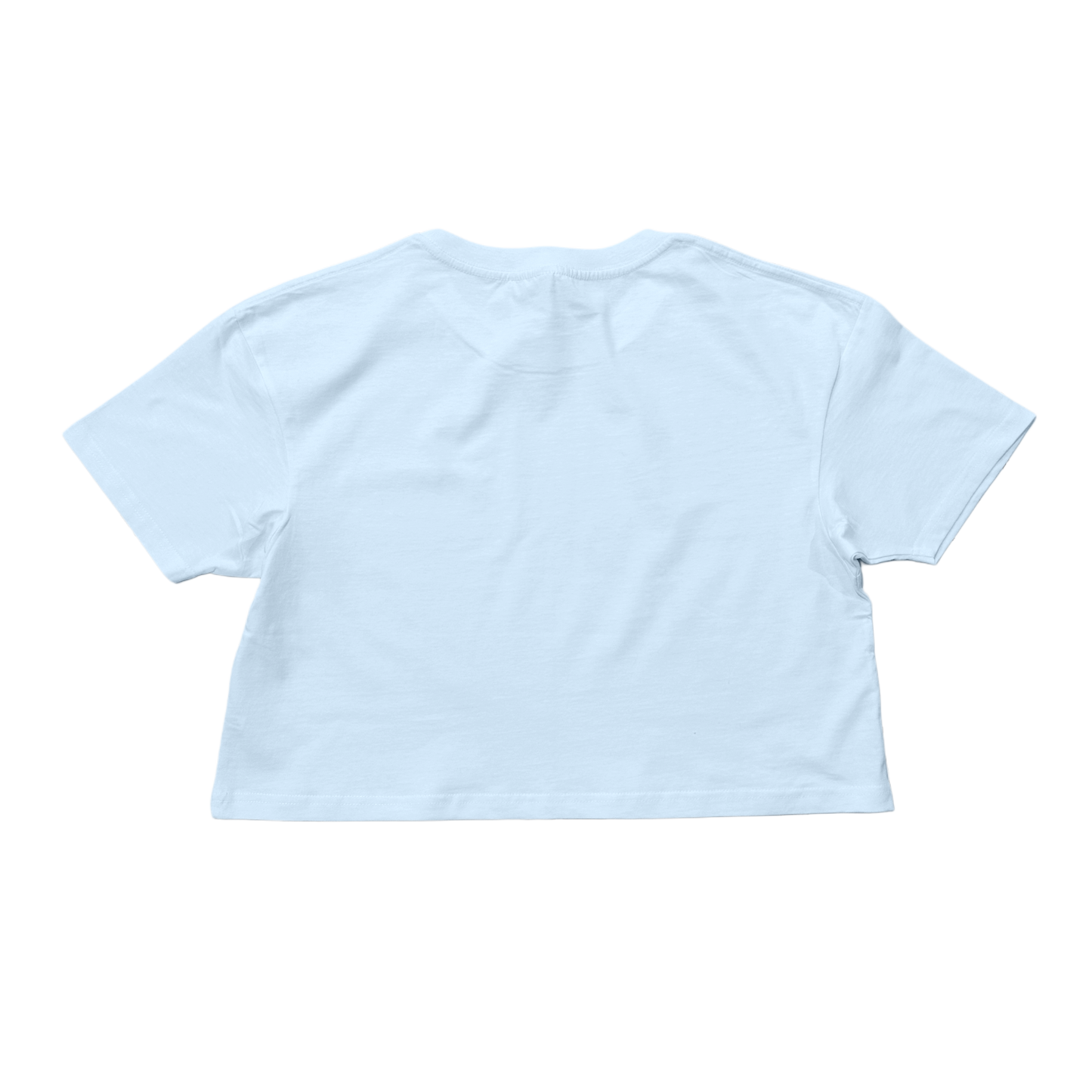Back view of plain white crop top t shirt 