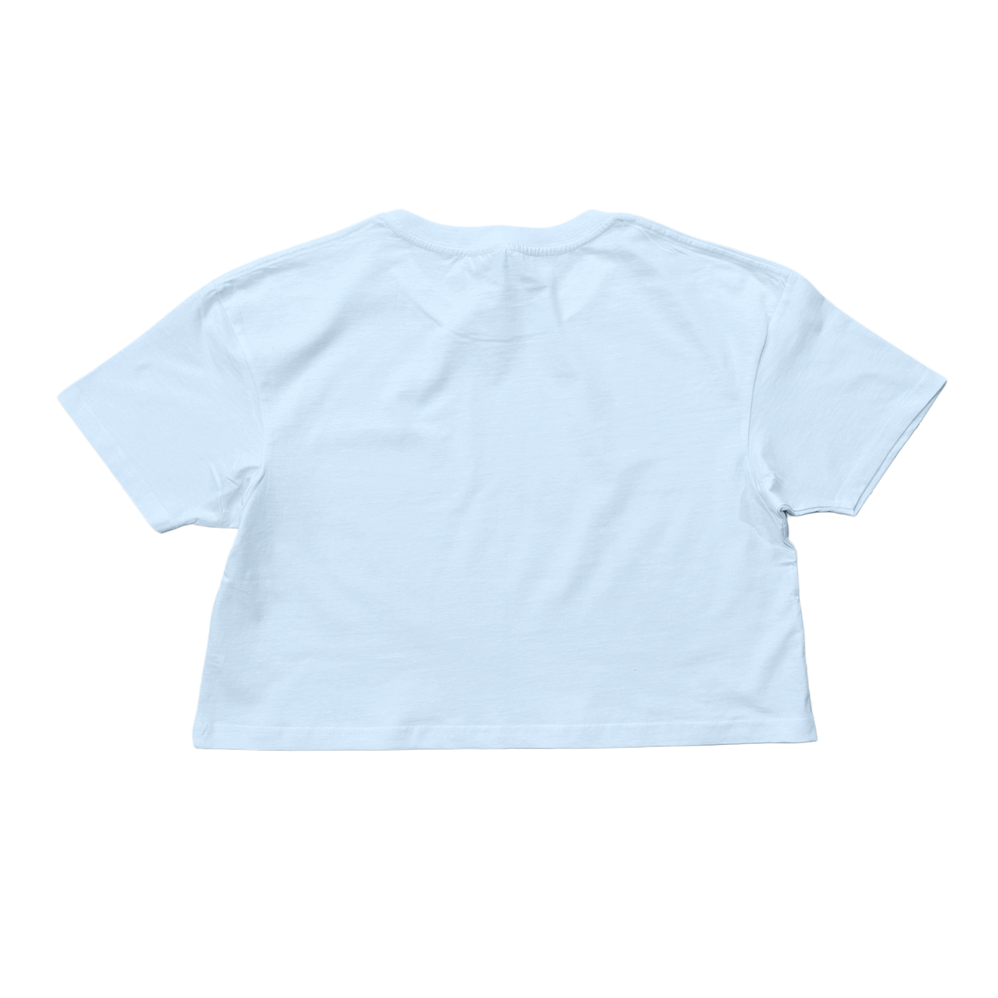 Back view of plain white crop top t shirt 