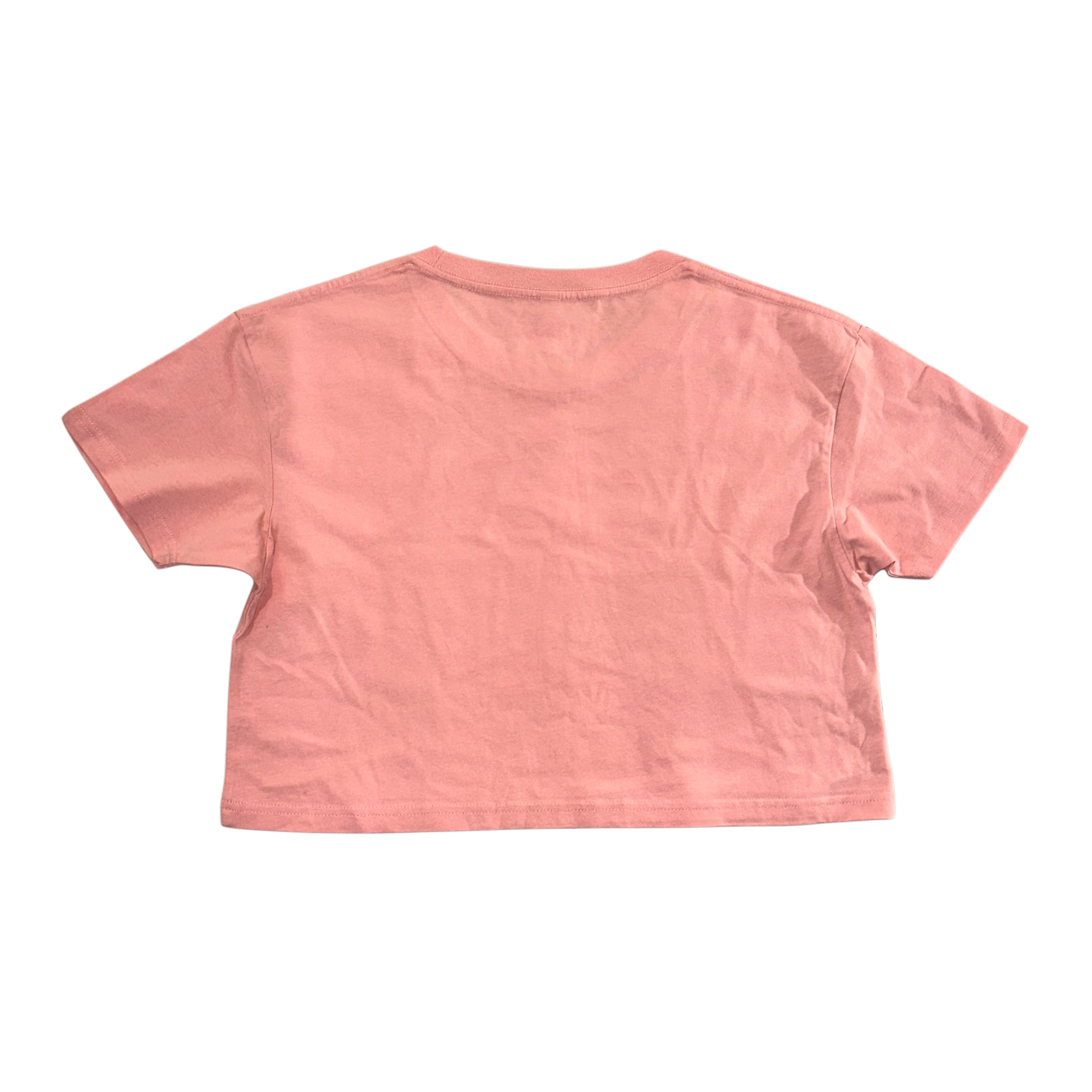 Back view of plain pink cropped top t shirt 