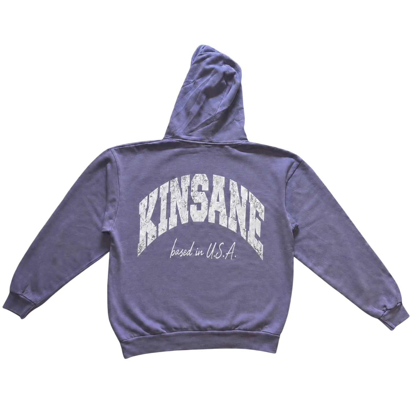Back view of a light blue hoodie with white text reading “KINSANE BASED IN U.S.A.” 