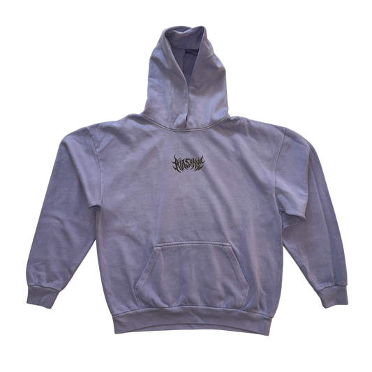 Light blue hoodie with black text in the center reading “KINSANE” 